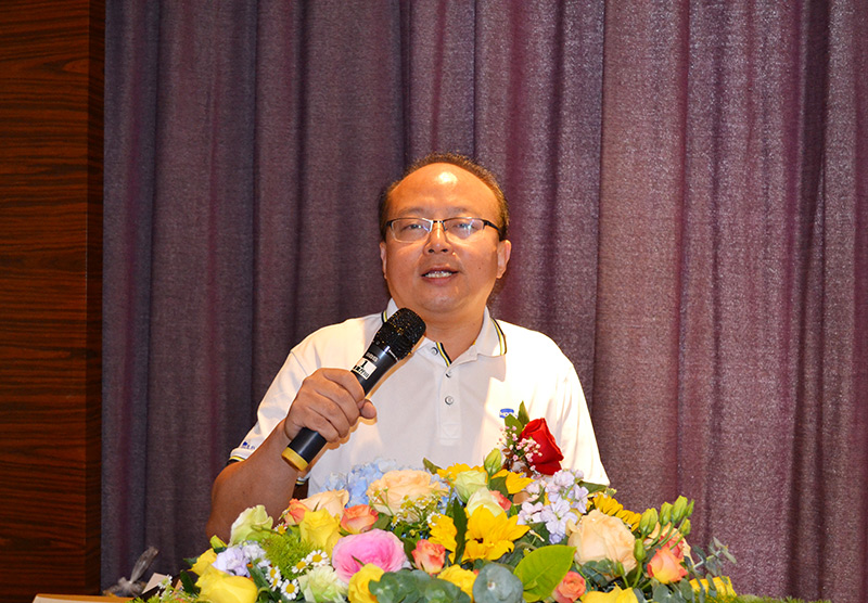 pic2.jpg